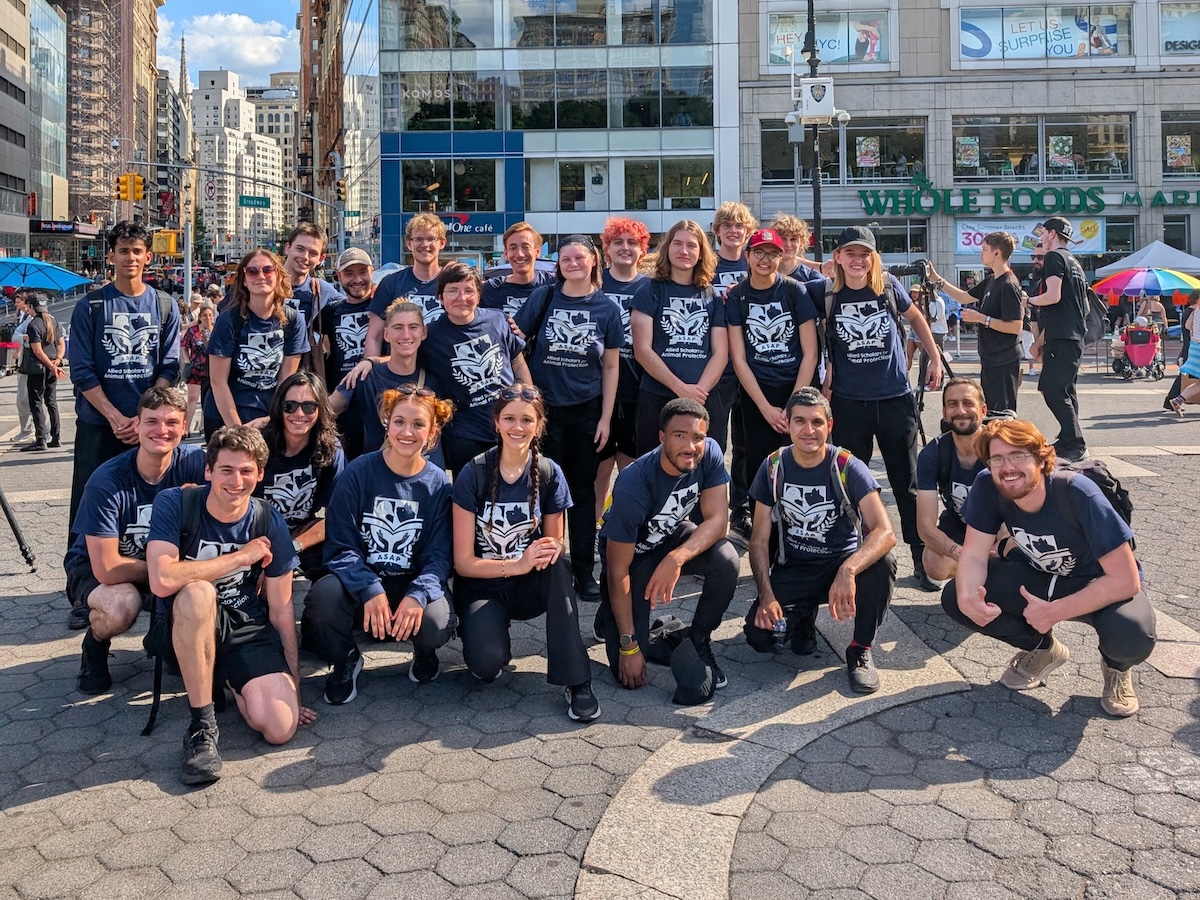 Allied Scholars launches its first ever animal Activism Bootcamp in NYC
