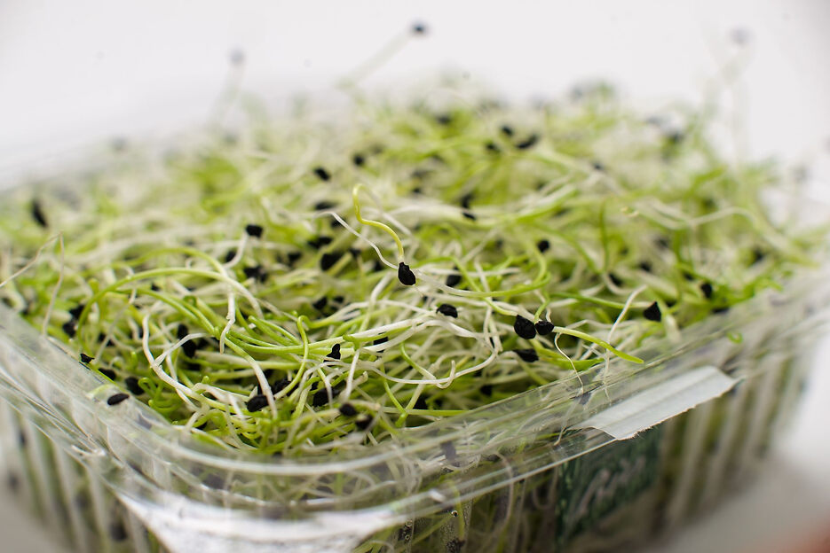 CDC links alfalfa sprouts to multistate E. coli and Salmonella outbreak CDC links alfalfa sprouts to multistate E. coli and Salmonella outbreak